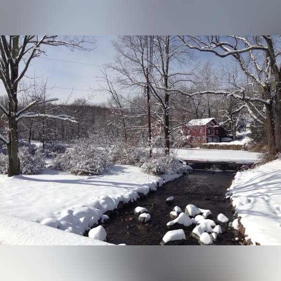 Patagonia Synchilla Off-White Fleece Half Zip pull over - Picture 8 of 10